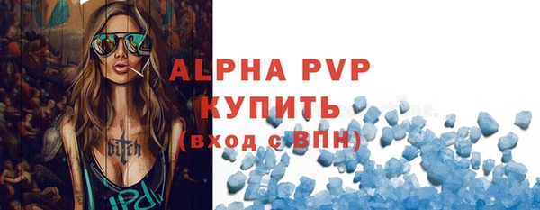 мдпв Каменка