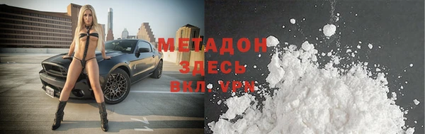прущие грибы Абаза