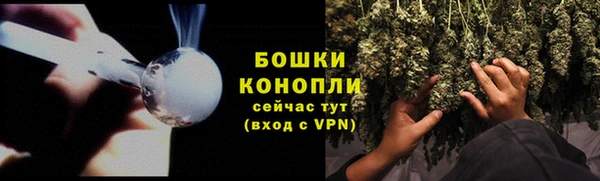 прущие грибы Абаза