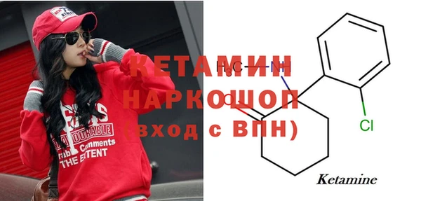 прущие грибы Абаза