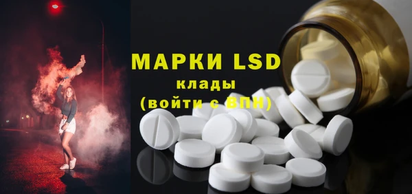 прущие грибы Абаза
