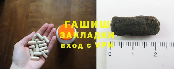 прущие грибы Абаза