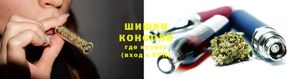 прущие грибы Абаза