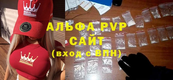 прущие грибы Абаза