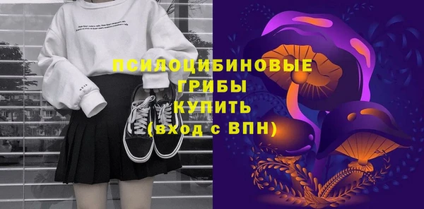мдпв Каменка